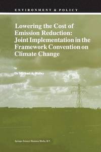 bokomslag Lowering the Cost of Emission Reduction: Joint Implementation in the Framework Convention on Climate Change