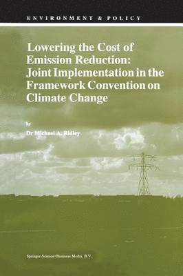 bokomslag Lowering the Cost of Emission Reduction: Joint Implementation in the Framework Convention on Climate Change