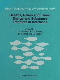 bokomslag Oceans, Rivers and Lakes: Energy and Substance Transfers at Interfaces