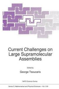 bokomslag Current Challenges on Large Supramolecular Assemblies