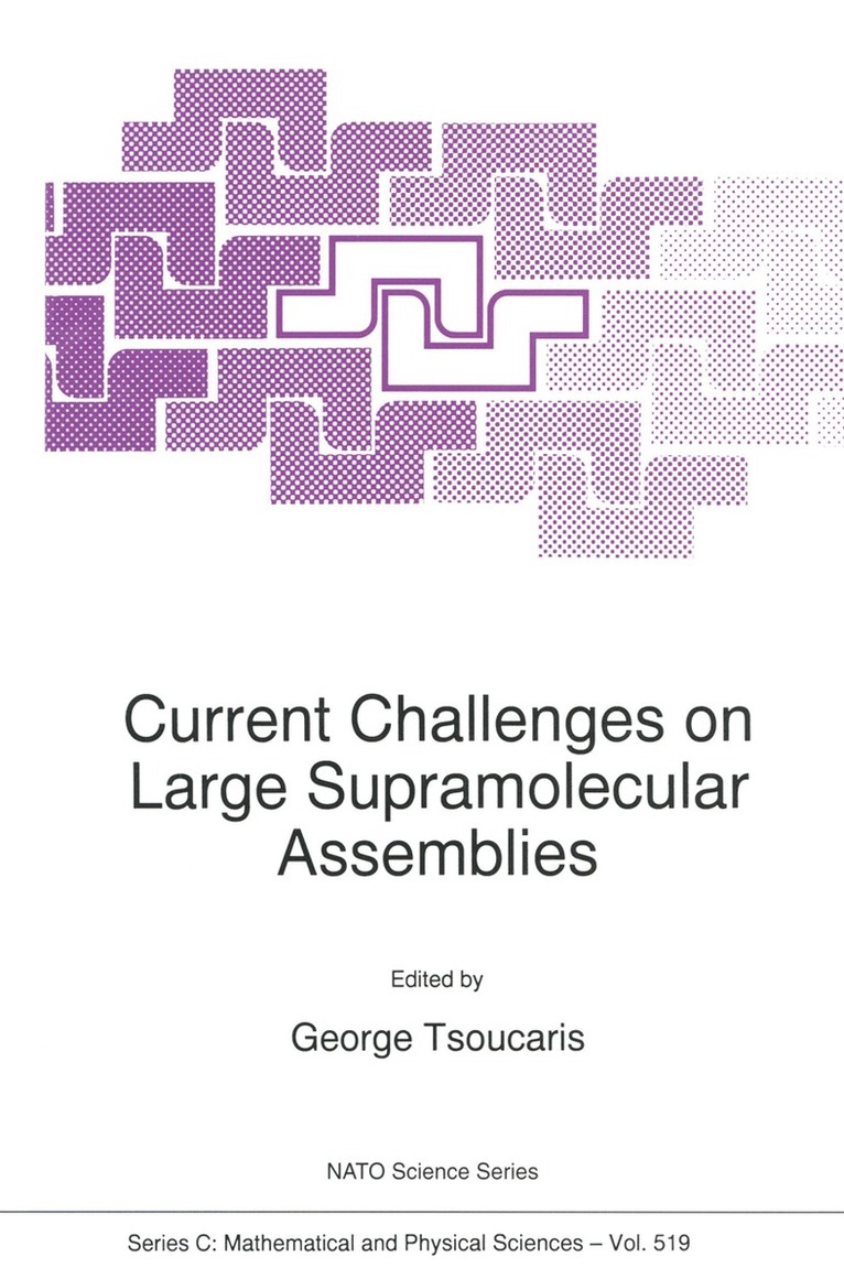 Current Challenges on Large Supramolecular Assemblies 1