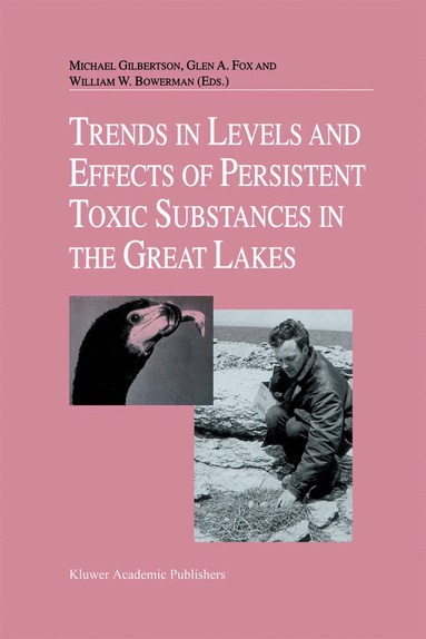 Michael Gilbertson, Glen A. Fox, William W. Bowerman - Trends in Levels and Effects of Persistent Toxic Substances in the Great Lakes, Häftad