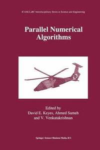 bokomslag Parallel Numerical Algorithms