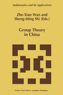 bokomslag Group Theory in China