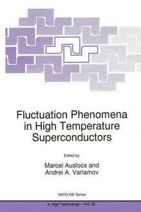 bokomslag Fluctuation Phenomena in High Temperature Superconductors