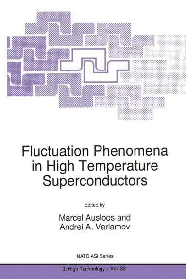 bokomslag Fluctuation Phenomena in High Temperature Superconductors