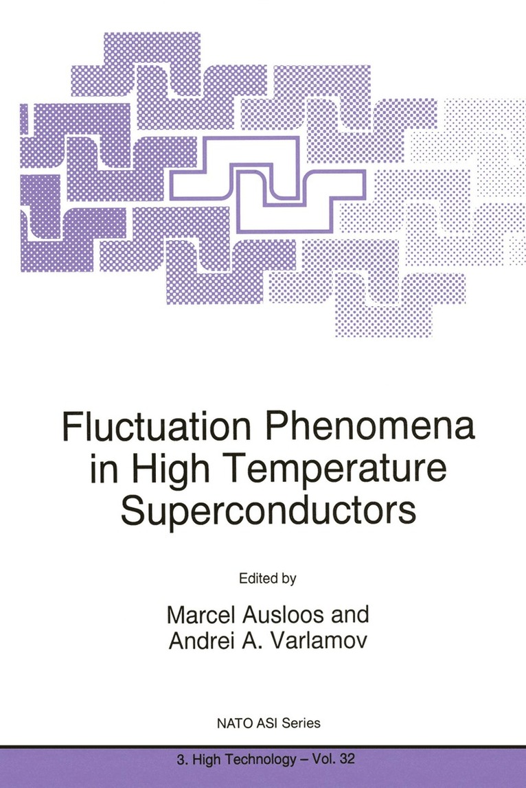 M. Ausloos, Andrei A. Varlamov, Marcel Ausloos - Fluctuation Phenomena in High Temperature Superconductors, Häftad