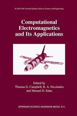 Computational Electromagnetics and Its Applications 1