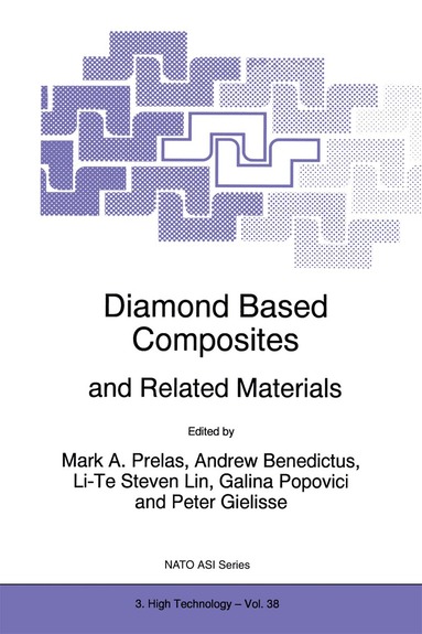 Mark A. Prelas, Andrew Benedictus, Li-Te Steven Lin, Galina Popovici, Peter Gielisse - Diamond Based Composites, Häftad