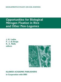 bokomslag Opportunities for Biological Nitrogen Fixation in Rice and Other Non-Legumes