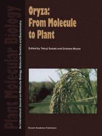 bokomslag Oryza: From Molecule to Plant