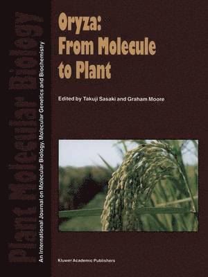 Oryza: From Molecule to Plant 1