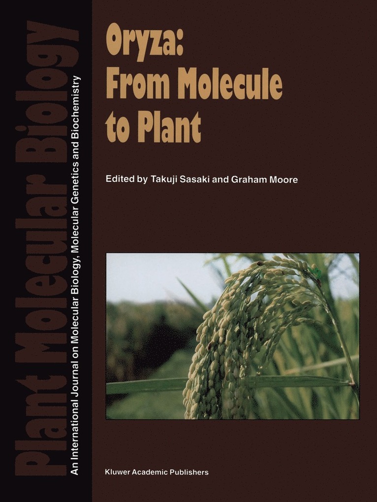 Takuji Sasaki, Graham Moore - Oryza: From Molecule to Plant, Häftad