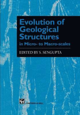 bokomslag Evolution of Geological Structures in Micro- to Macro-scales