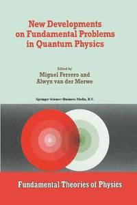 bokomslag New Developments on Fundamental Problems in Quantum Physics