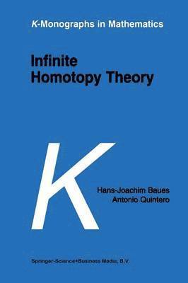 bokomslag Infinite Homotopy Theory