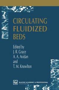 bokomslag Circulating Fluidized Beds