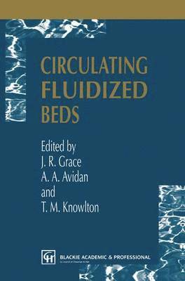 Circulating Fluidized Beds 1