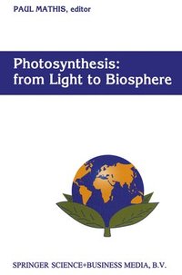 bokomslag Photosynthesis: from Light to Biosphere