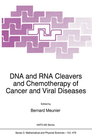 B. Meunier, B. Meunier - DNA and RNA Cleavers and Chemotherapy of Cancer and Viral Diseases, Häftad