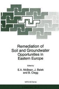 bokomslag Remediation of Soil and Groundwater