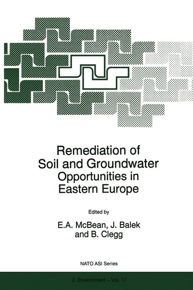 bokomslag Remediation of Soil and Groundwater