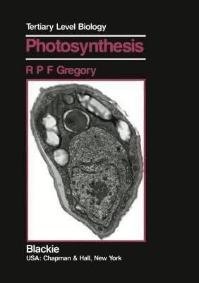 bokomslag Photosynthesis