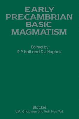 bokomslag Early Precambrian Basic Magmatism