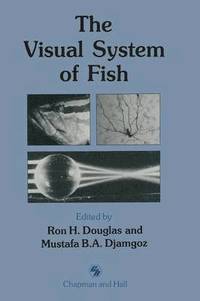 bokomslag The Visual System of Fish