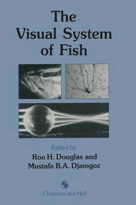 The Visual System of Fish 1