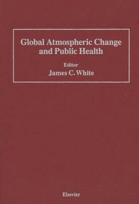 bokomslag Global Atmospheric Change and Public Health