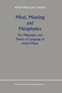 bokomslag Mind, Meaning and Metaphysics