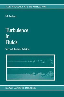 bokomslag Turbulence in Fluids