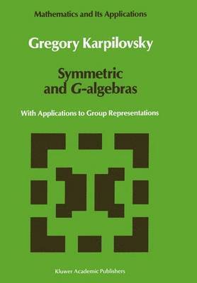 bokomslag Symmetric and G-algebras