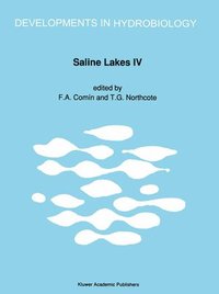 bokomslag Saline Lakes