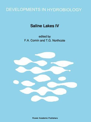 Saline Lakes 1