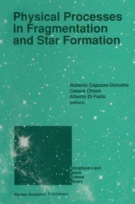 bokomslag Physical Processes in Fragmentation and Star Formation