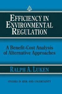 bokomslag Efficiency in Environmental Regulation
