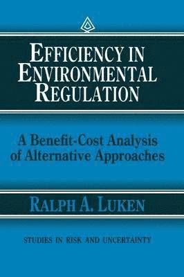 Efficiency in Environmental Regulation 1