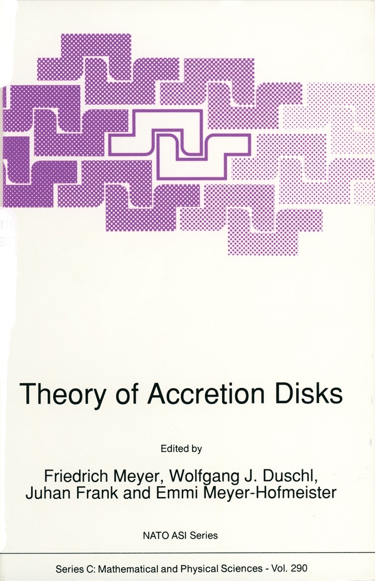 F. Meyer, Wolfgang J. Duschl, Juhan Frank, Emmi Meyer-Hofmeister - Theory of Accretion Disks, Häftad