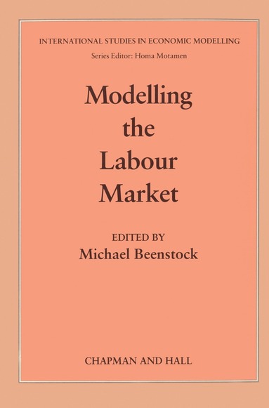 bokomslag Modelling the Labour Market