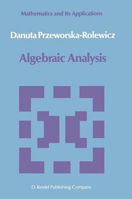 Algebraic Analysis 1