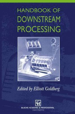 bokomslag Handbook of Downstream Processing