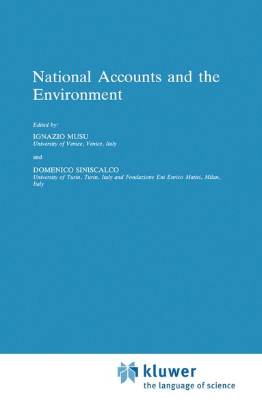 bokomslag National Accounts and the Environment