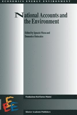 National Accounts and the Environment 1
