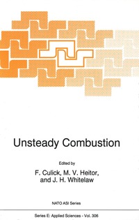 bokomslag Unsteady Combustion