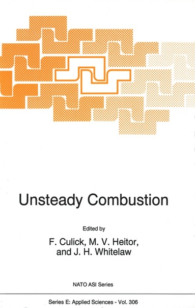 bokomslag Unsteady Combustion