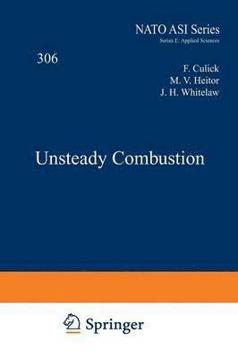 Unsteady Combustion 1