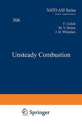 F. Culick, M.V. Heitor, J.H. Whitelaw, M. V. Heitor, J. H. Whitelaw - Unsteady Combustion, Häftad