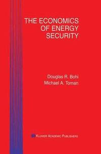 bokomslag The Economics of Energy Security